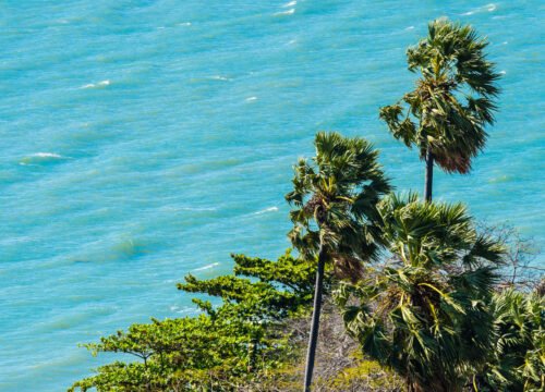 New South Wales: Wine, Nature, Adventure